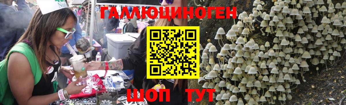 Псилоцибиновые грибы Psilocybe Каменск-Уральский